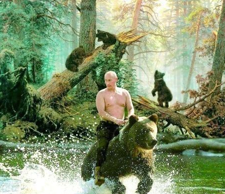 普京骑熊的其他背景照片